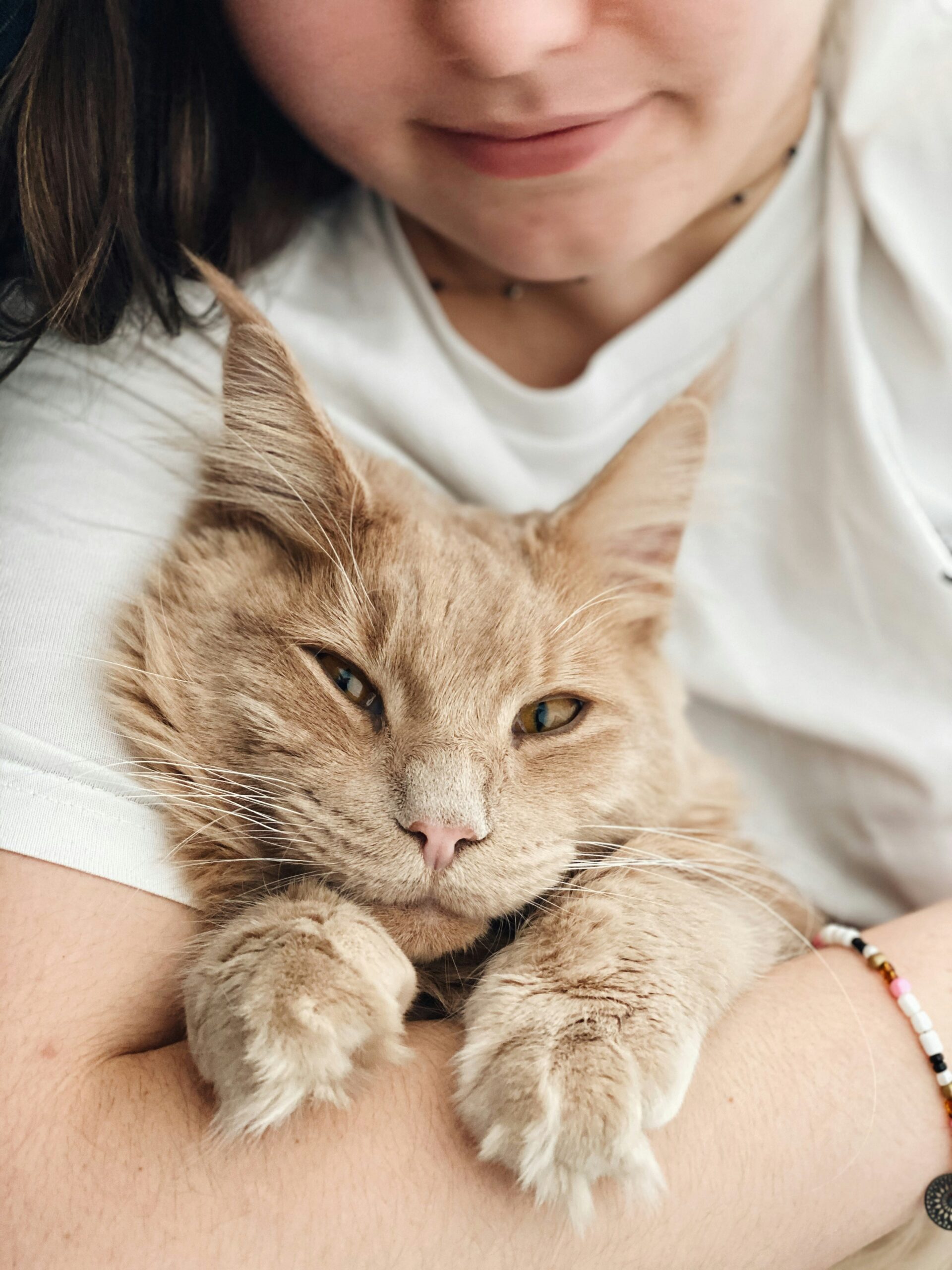 chat1